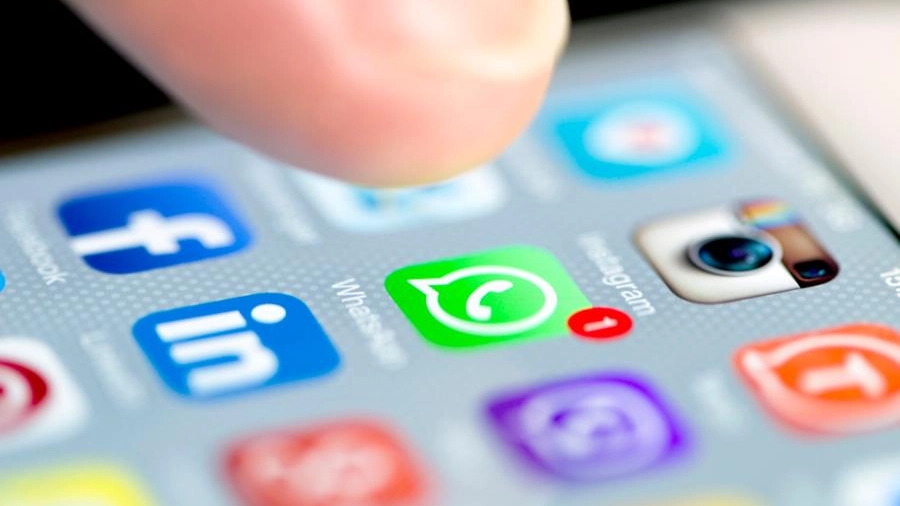 Bologna, 90 persone hanno saputo via Whatsapp del mancato rinnovo di contratto
