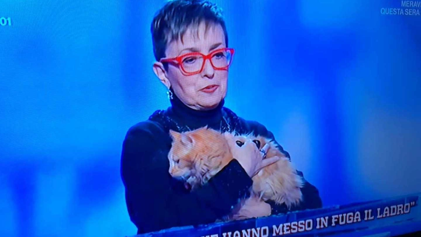 Donatella Properzi con i gatti in diretta tv