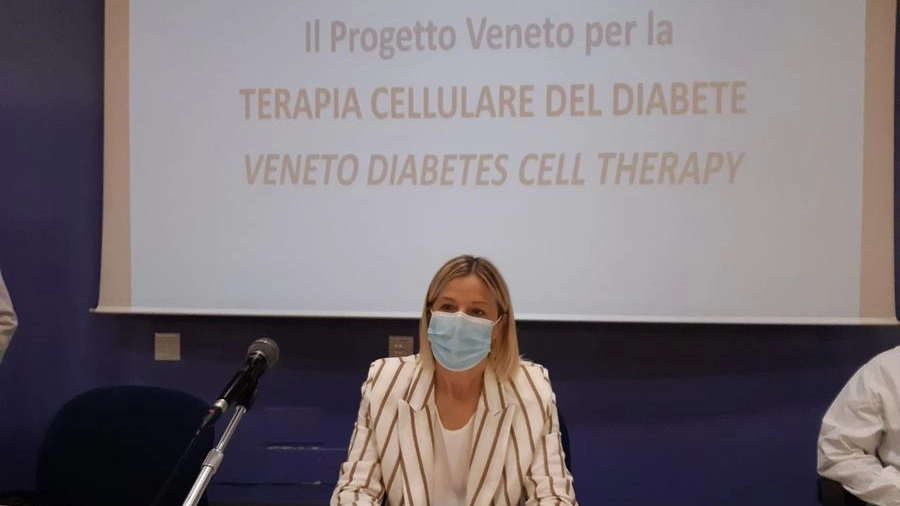 Manuela Lanzarin assessora regionale del Veneto
