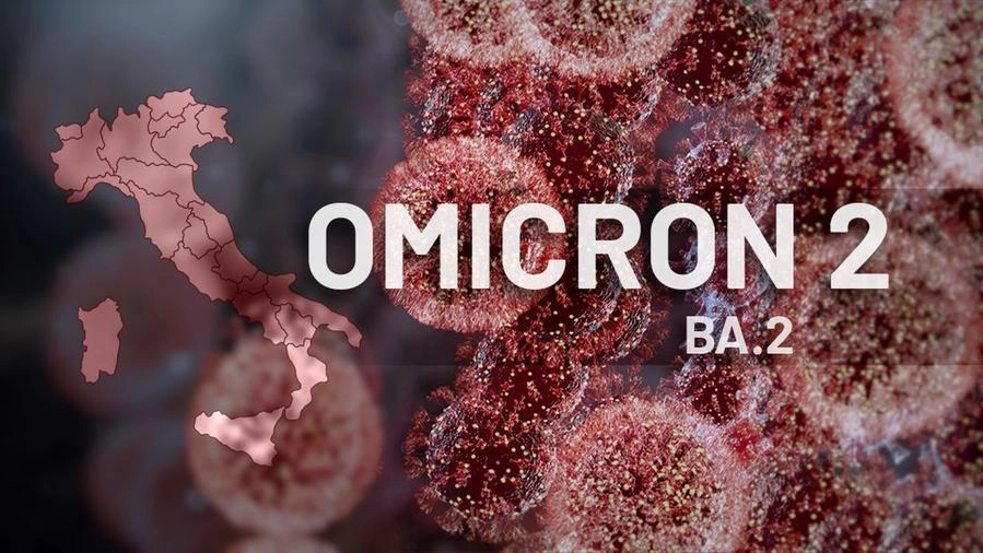 Variante Omicron 2 in Italia