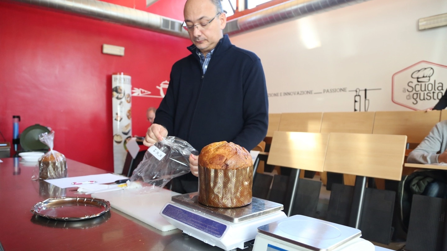 Il contest per il miglior panettone bolognese: la pesata dei panettoni (Foto Schicchi)
