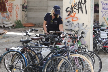 Padova, furti di bici di alta gamma: colpi in Veneto, Lombardia ed Emilia Romagna