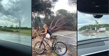 Cervia e Milano Marittima, nubifragio: alberi caduti e bagni danneggiati