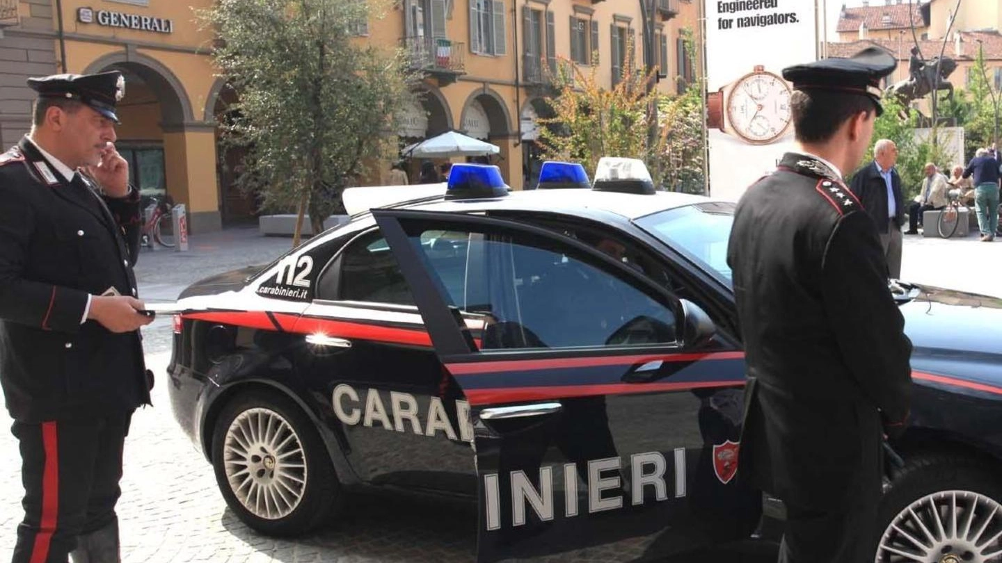 Sul caso hanno indagato i carabinieri