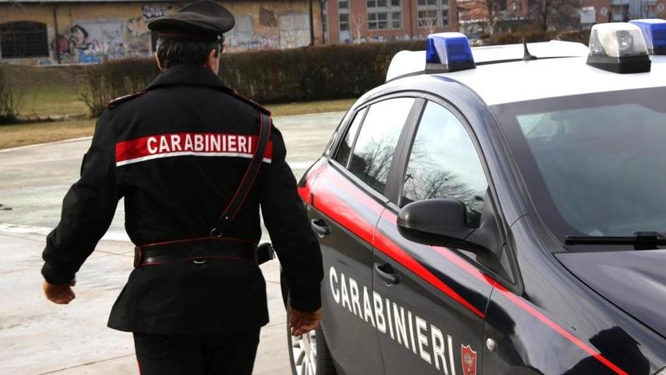 I carabinieri sono riusciti a rintracciare il ladruncolo