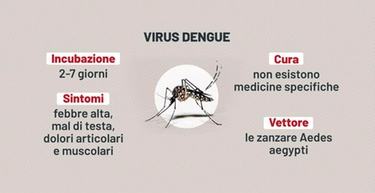 Dengue: sintomi, cos’è e cura del virus