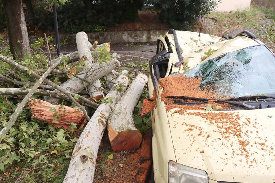 Maltempo, danni a Bondeno (foto Businesspress)