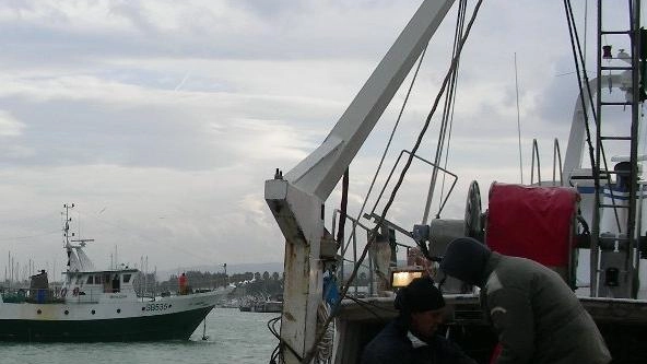 Imboccatura del porto, via libera al dragaggio:  "Lavoro fondamentale per il settore pesca"