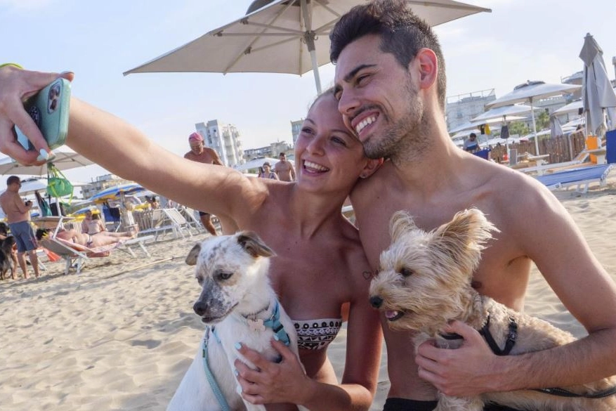 Un selfie sulla spiaggia di Rimini con i propri cani