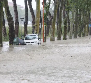 Alluvione a Cesena, furia dell’acqua. Paura e disperazione: "Sono vivo ma ho perso tutto, come farò?"