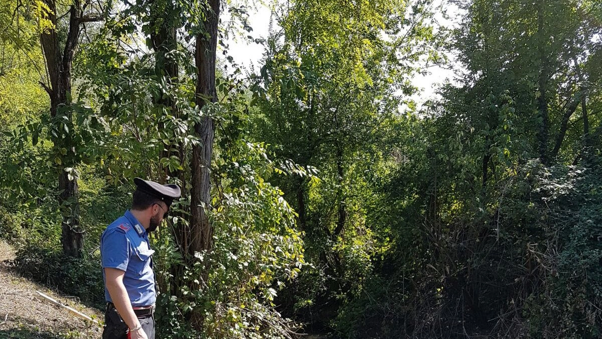 Reggio Emilia, trovato un cadavere in un canale di scolo del torrente Rodano  (Foto carabinieri)