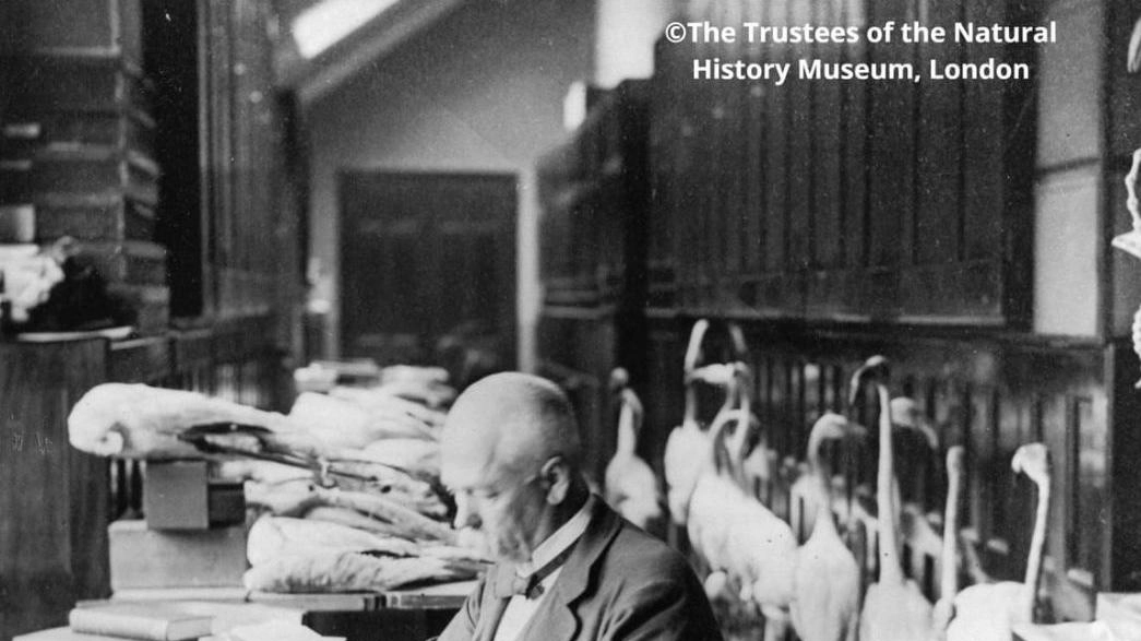 In tanti per ricordare i cento anni dalla morte del celebre ornitologo Tommaso Salvadori. Successo di pubblico alla Società operaia