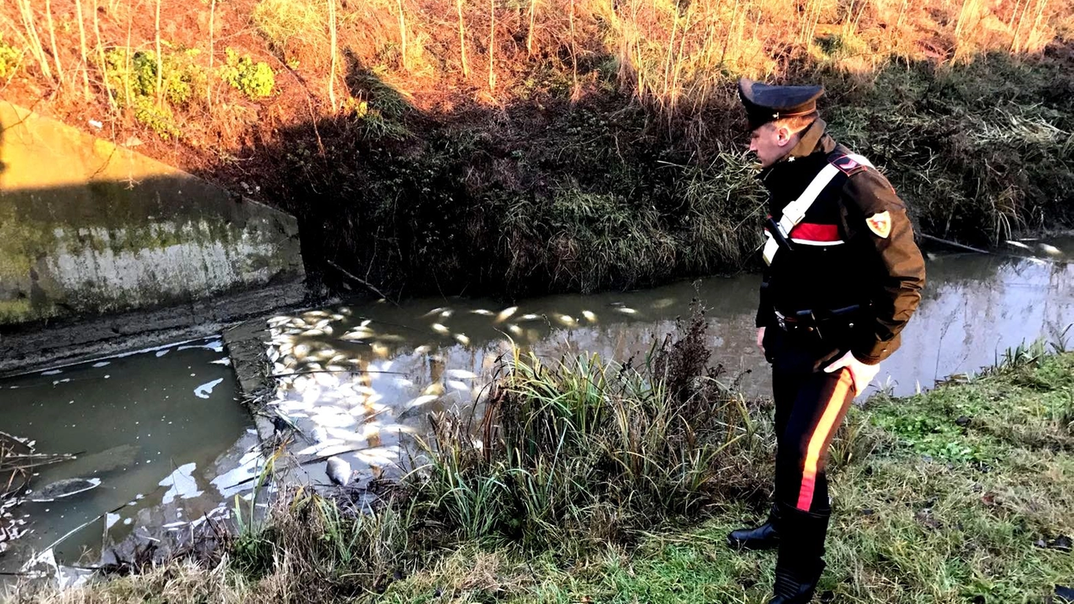 Un carabiniere vicino al torrente pieno di pesci morti