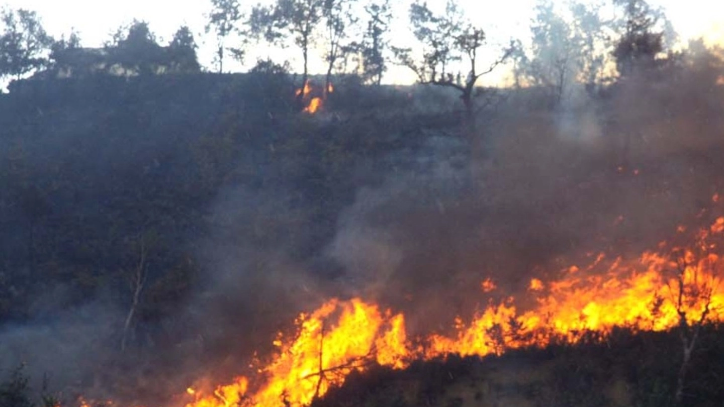 Ascoli, incendio a Monterocco. Le fiamme divorano le colline e minacciano le case