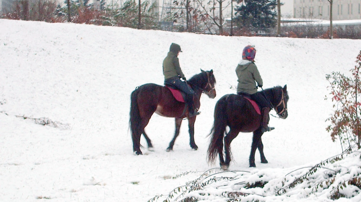 A cavallo tra la neve (immagine di repertorio)