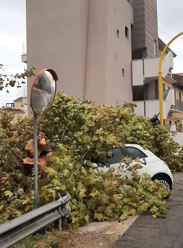 Raffiche di vento Auto schiacciata