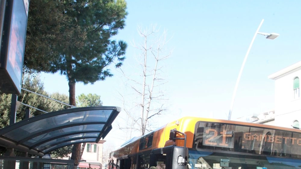 Autobus a Cesena (foto Ravaglia)