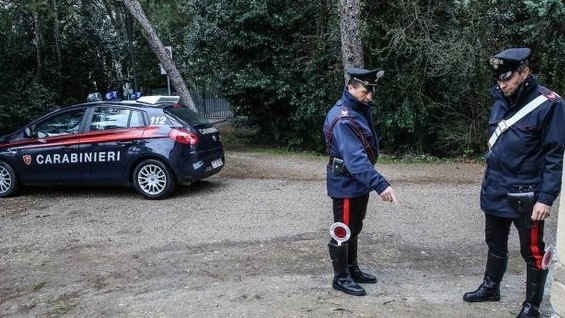 Le indagini dei carabinieri al parco Miralfiore (Fotoprint)