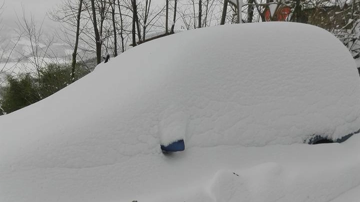 Neve, auto sepolte a Pianello (foto Carnali)
