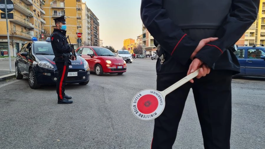 Controlli dei carabinieri (Foto Dire)