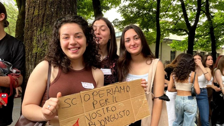 Sciopero studenti Vicenza 