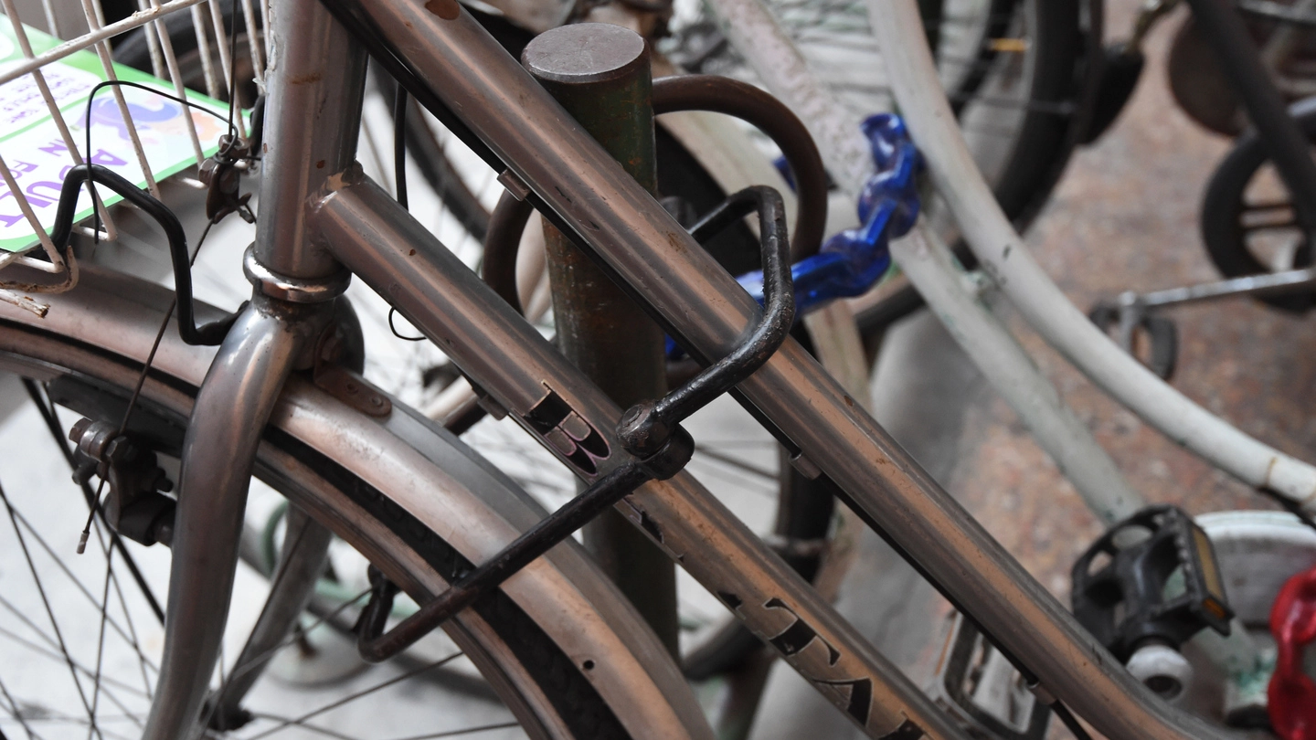 Biciclette legate in una rastrelliera in centro