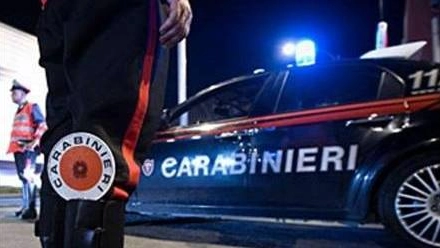 Operazione antidroga dei carabinieri con 19 arresti