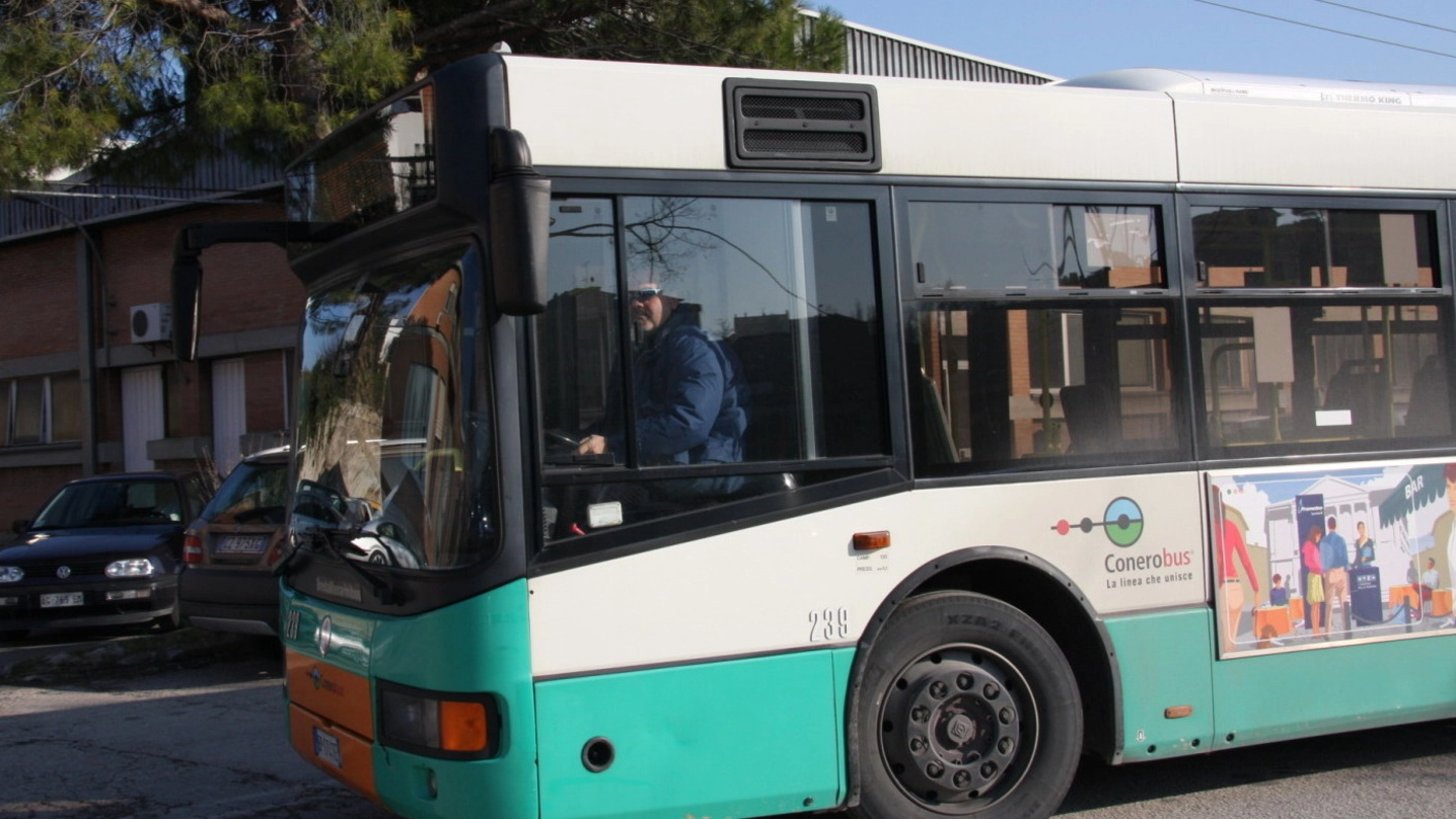Un autobus ad Ancona (foto repertorio)