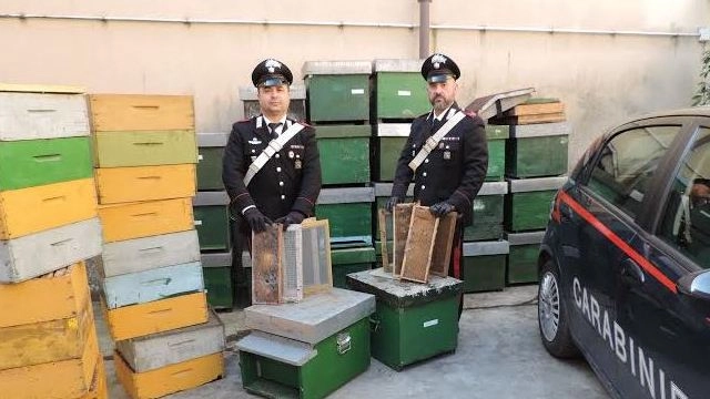 Carabinieri con le arnie recuperate (Veca)