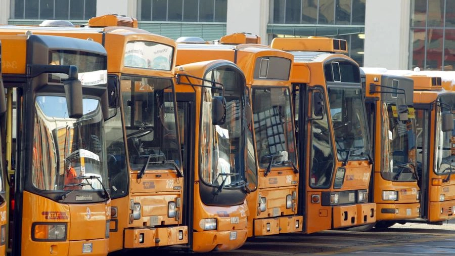Autobus: corse a rischio con l'entrata in vigore del Green pass sul lavoro
