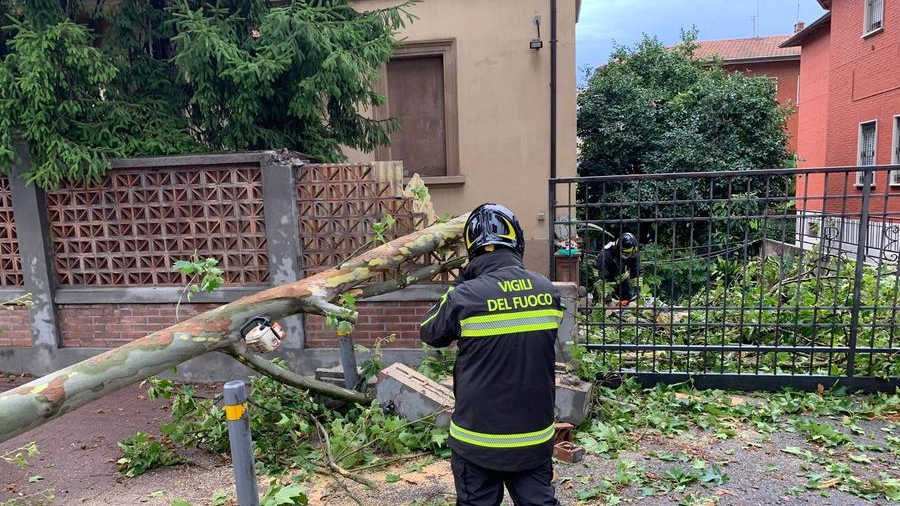 Maltempo oggi, danni in provincia di Bologna