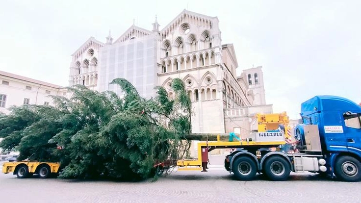 Ferrara, l'albero di Natale arriva in piazza: ecco quando si accende