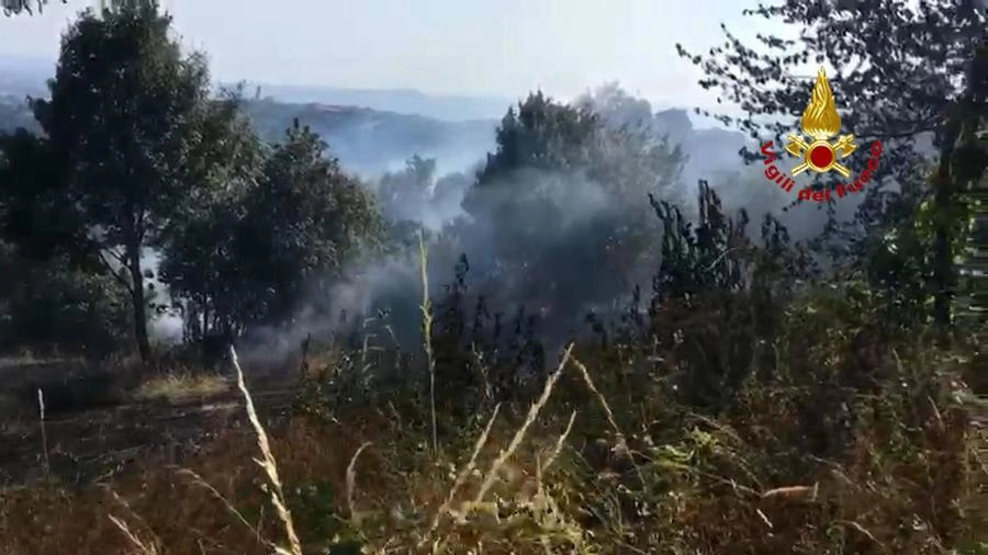 Incendio su un'area boschiva