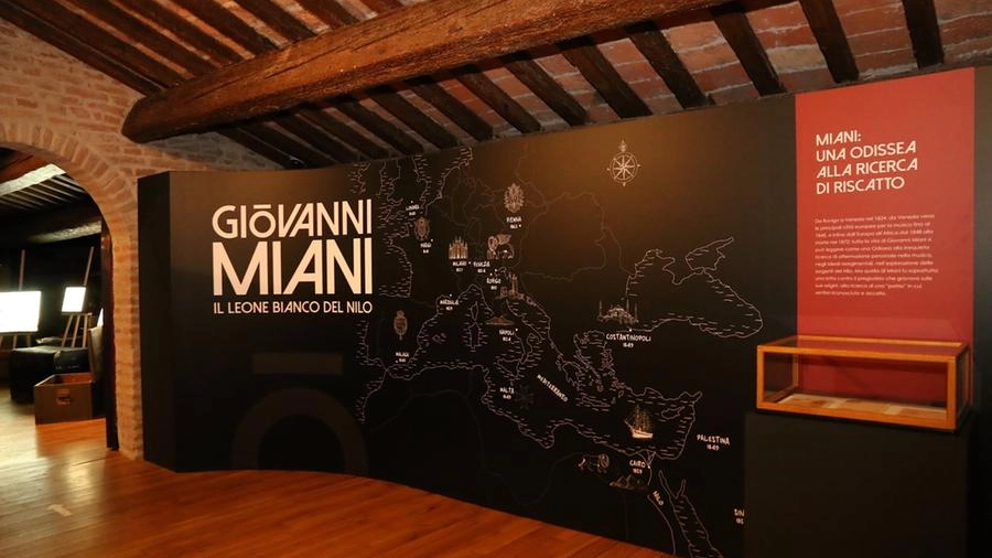 La mostra Giovanni Miani. Il Leone Bianco del Nilo