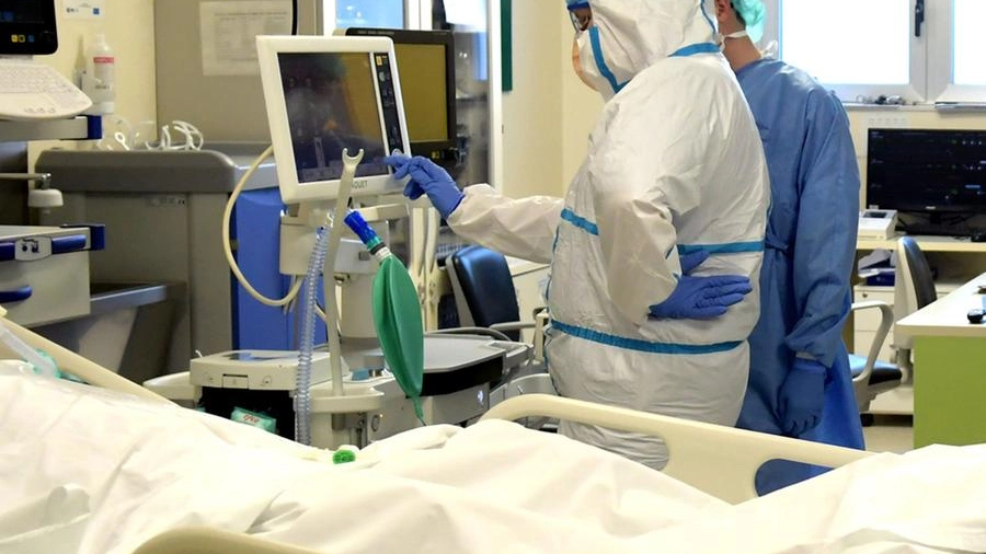 Covid a Bologna: aumentano i pazienti gravi in terapia intensiva