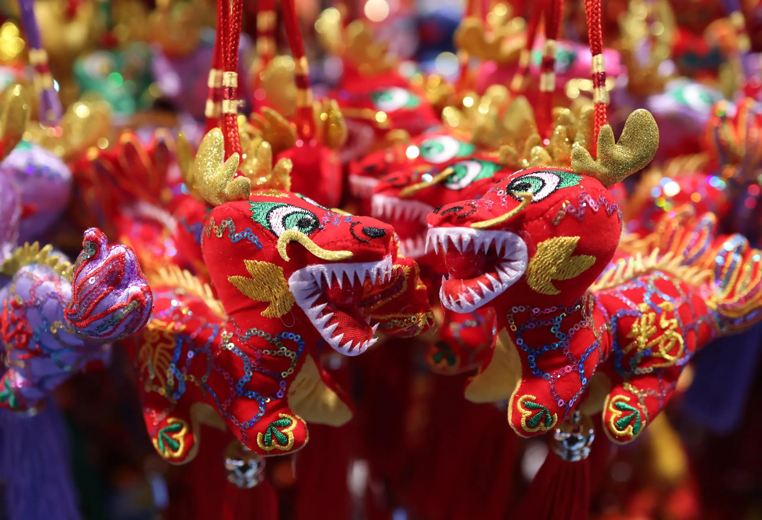 Capodanno cinese 2024: l'anno del drago festeggiato anche in Emilia Romagna