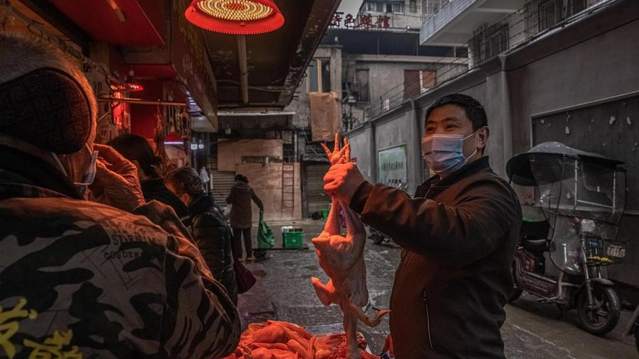 Un mercato di prodotto animali nell'area urbana di Wuhan 