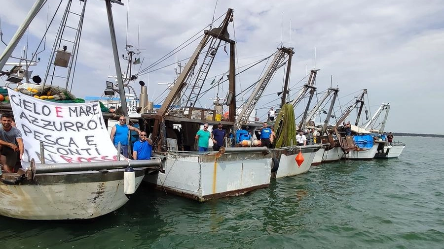 I pescatori del distretto hanno inviato a Roma una richiesta di aiuto, con il sostegno delle regioni Veneto, Emilia Romagna e Friuli Venezia Giulia