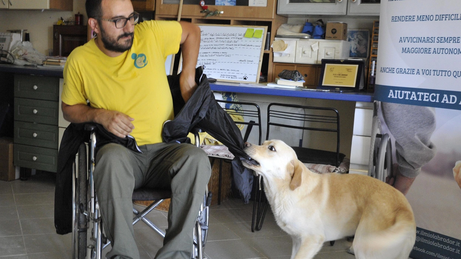 Zenobi si è seduto in una carrozzina per disabili per mostrare come il cane lo aiuta