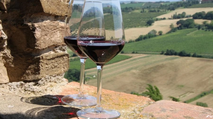 Il Veneto tra i più importanti produttori di vino in Italia