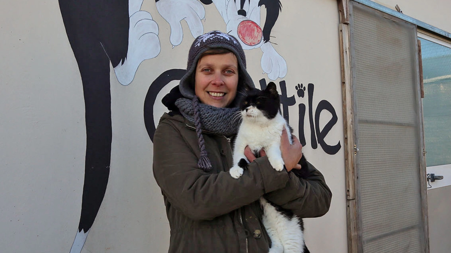 Imola, una delle operatrici del gattile di via Gambellara (Foto Isolapress)