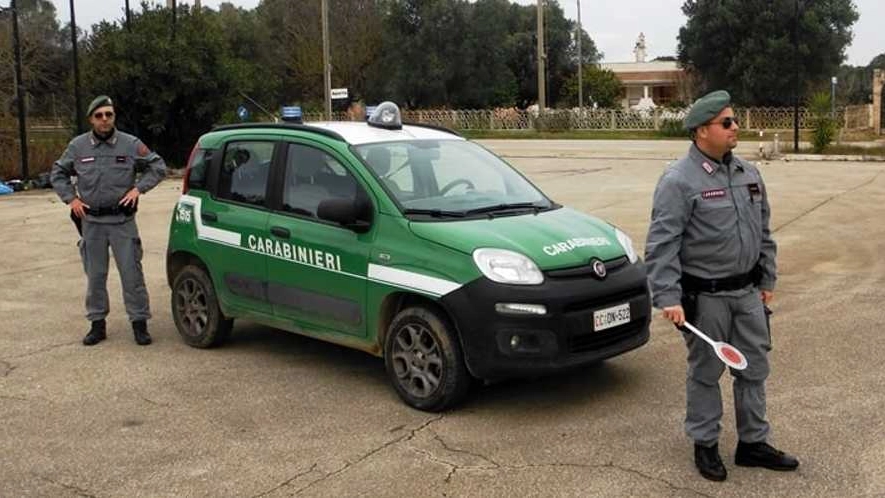 I carabinieri della forestale hanno effettuato i controlli assieme all’ispettorato del lavoro