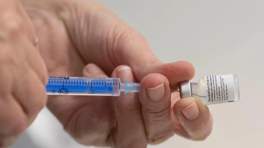 Vaccino Covid, calo di consegne dello Pfizer in Europa (Ansa)