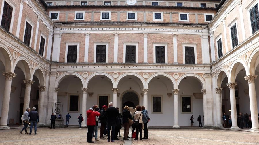 Urbino, Palazzo ducale