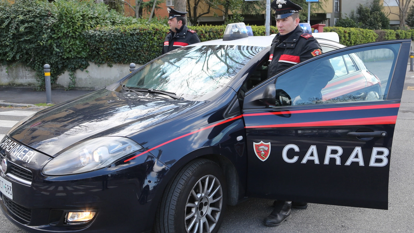 San Giorgio di Piano, aggredita al distributore: indagano i carabinieri (fotoSchicchi)
