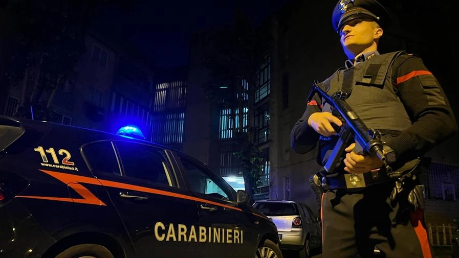 L'operazione è stata condotta dai carabinieri (Foto d'archivio)