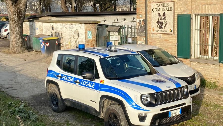 Gli agenti della Polizia locale di Ravenna al canile municipale (foto Zani)