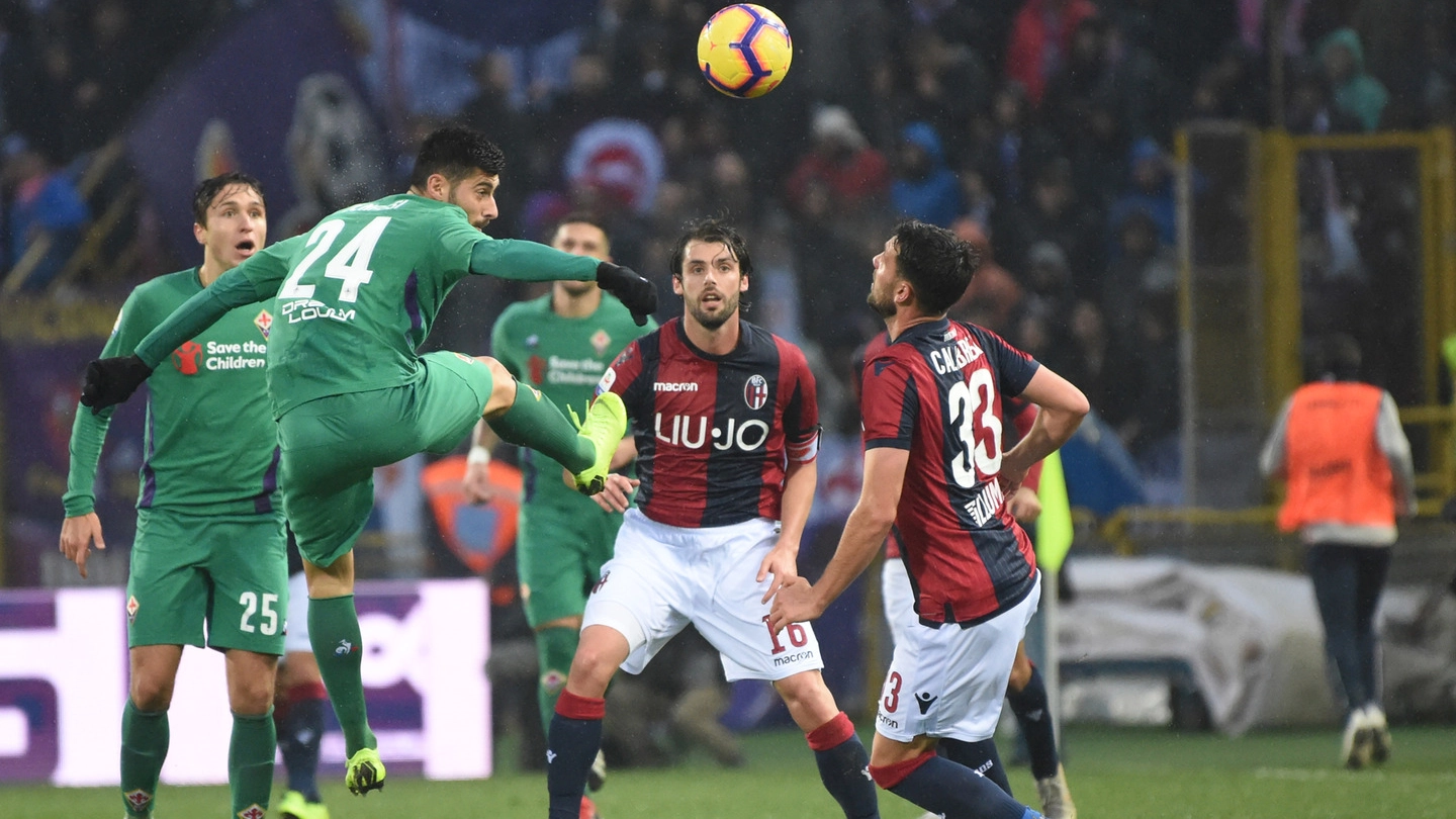 Bologna-Fiorentina 0-0 (FotoSchicchi)