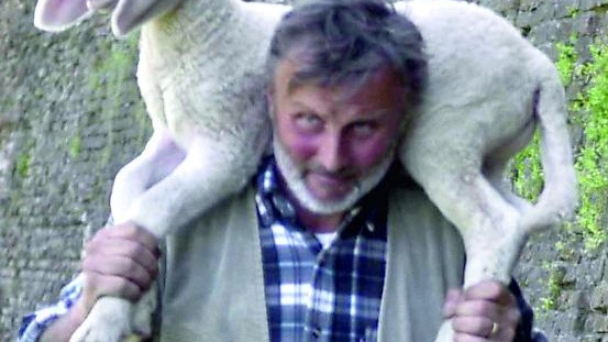 Massimo Freddi con le sue pecore sotto le mura di Ferrara (Businesspress)