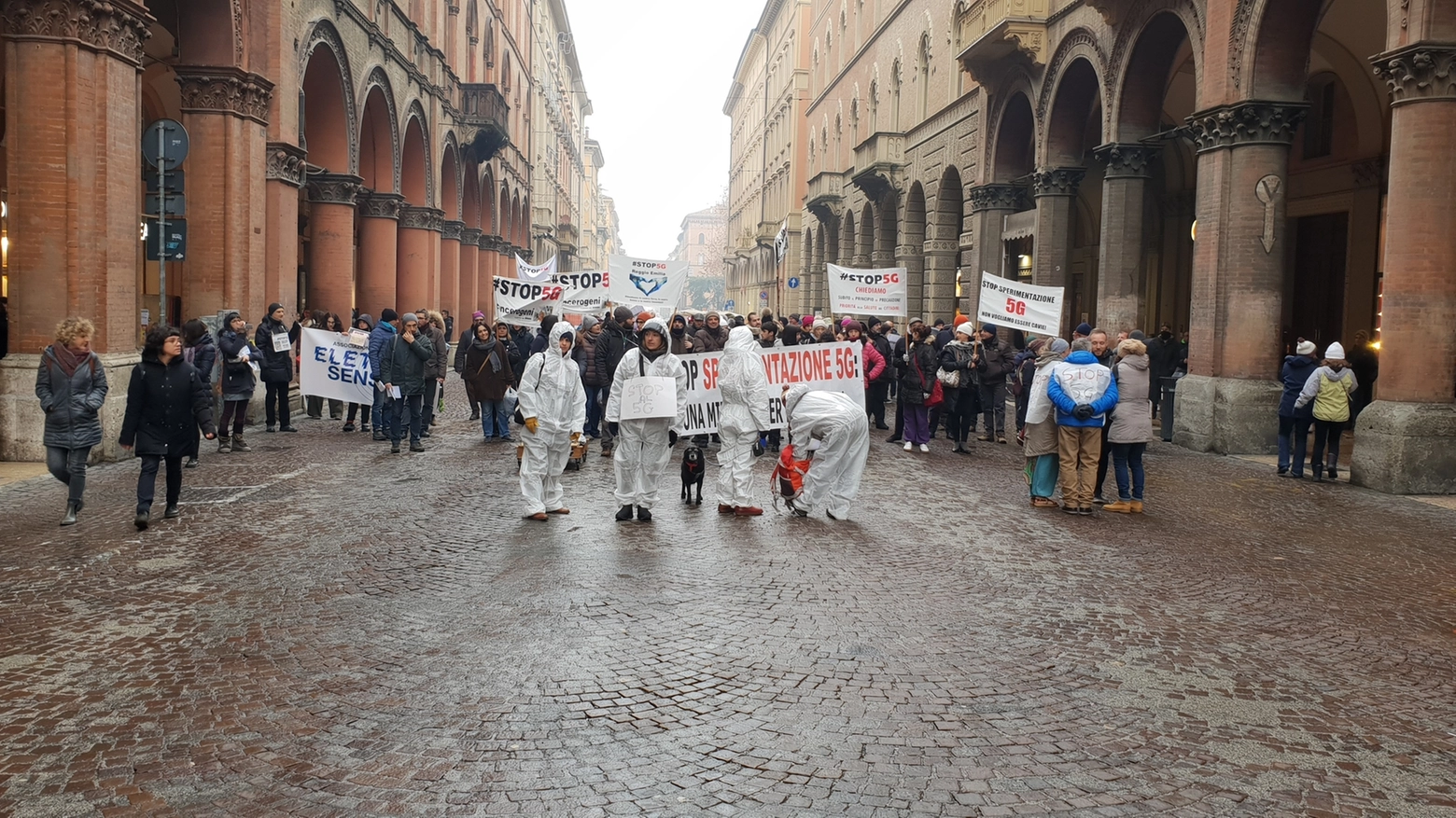 Un centinaio di persone ha manifestato oggi pomeriggio a Bologna contro il 5G (Foto Dire)